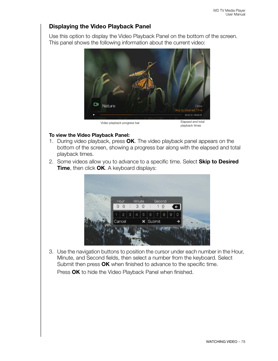 Displaying the video playback panel | Western Digital WD TV User Manual User Manual | Page 83 / 244