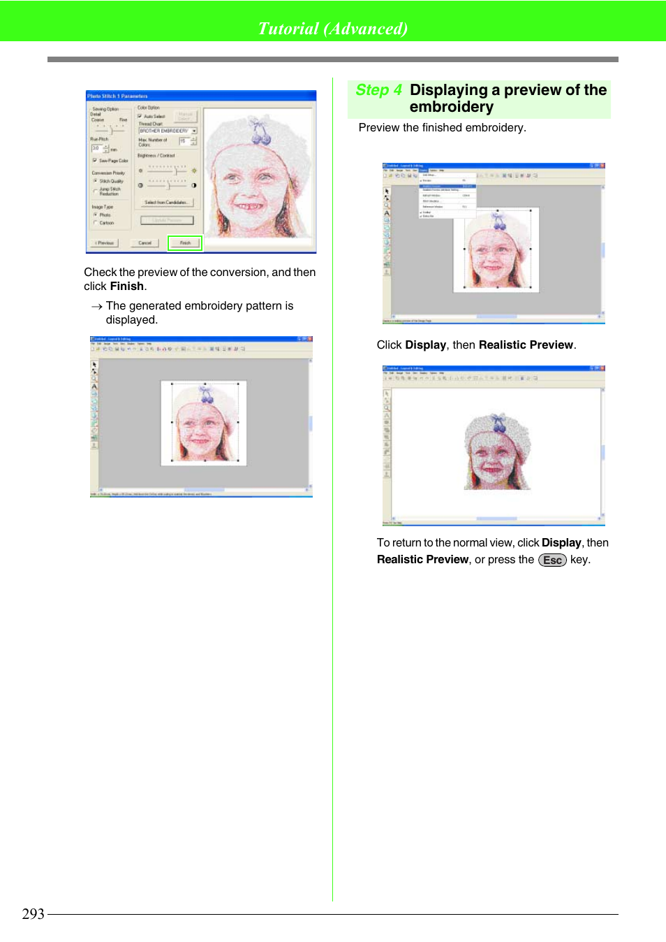 Tutorial (advanced), Step 4 displaying a preview of the embroidery | Brother PE-DESIGN V7 User Manual | Page 299 / 361