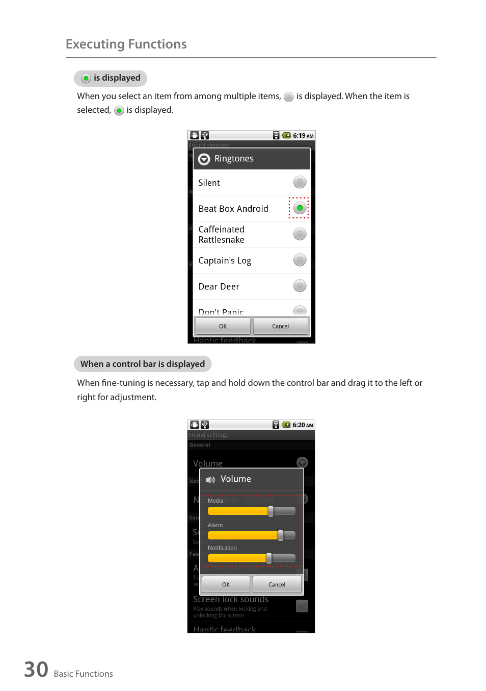 Executing functions | Wintec FileMate Identity Tablet User Manual | Page 31 / 98