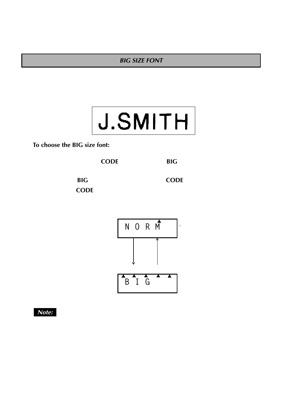 Big size font, B i g, D : n o r m | N o r m | Brother TZTAPE PT-300 User Manual | Page 29 / 82