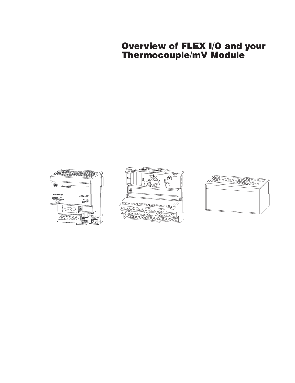 Chapter objectives, The flex i/o system, Chapter | Rockwell Automation 1794-IT8,D17946.5.7 Thermocouple/Millivolt Input Module User Manual | Page 11 / 76