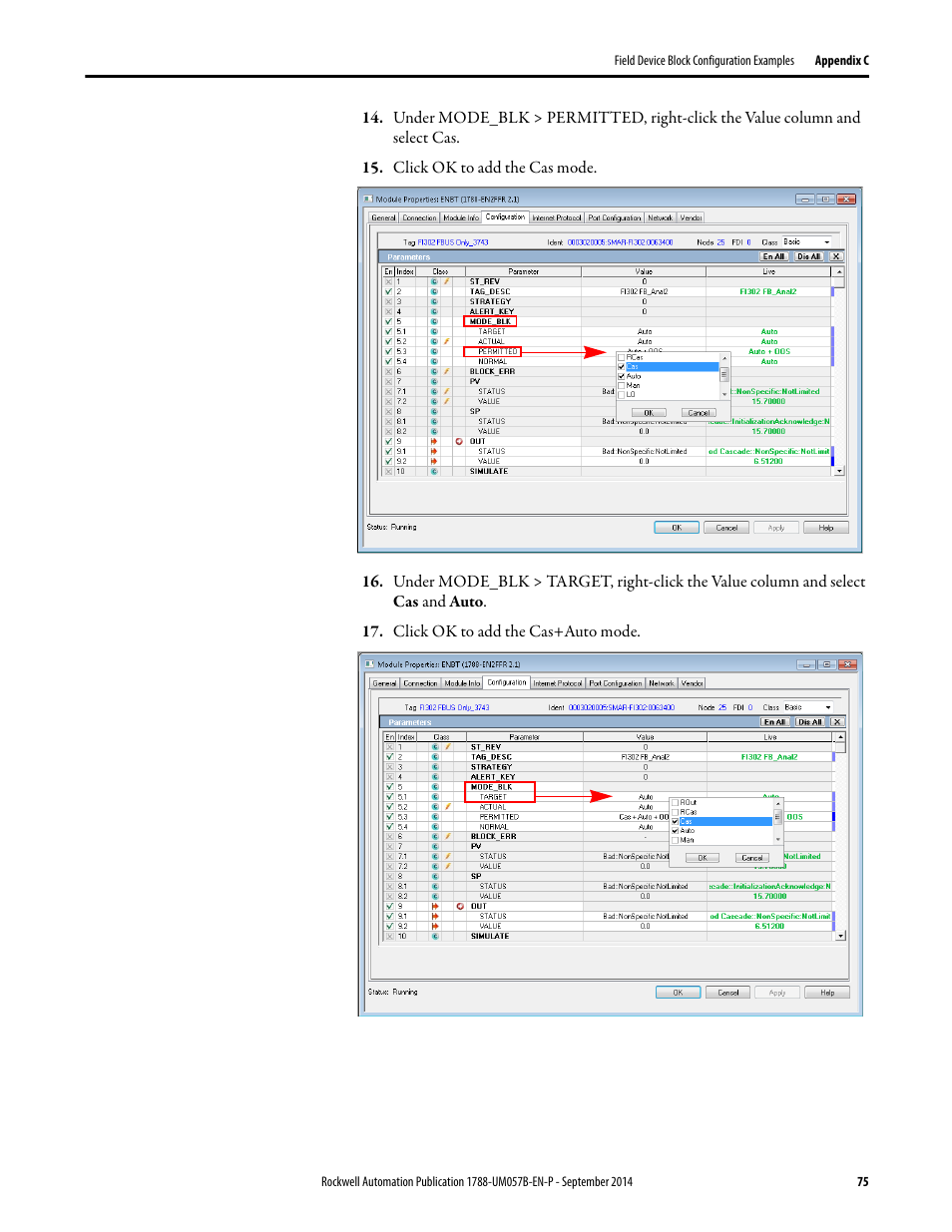 Rockwell Automation 1788-CN2FFR EtherNet/IP and ControlNet to FOUNDATION Fieldbus Linking Device User Manual | Page 77 / 104