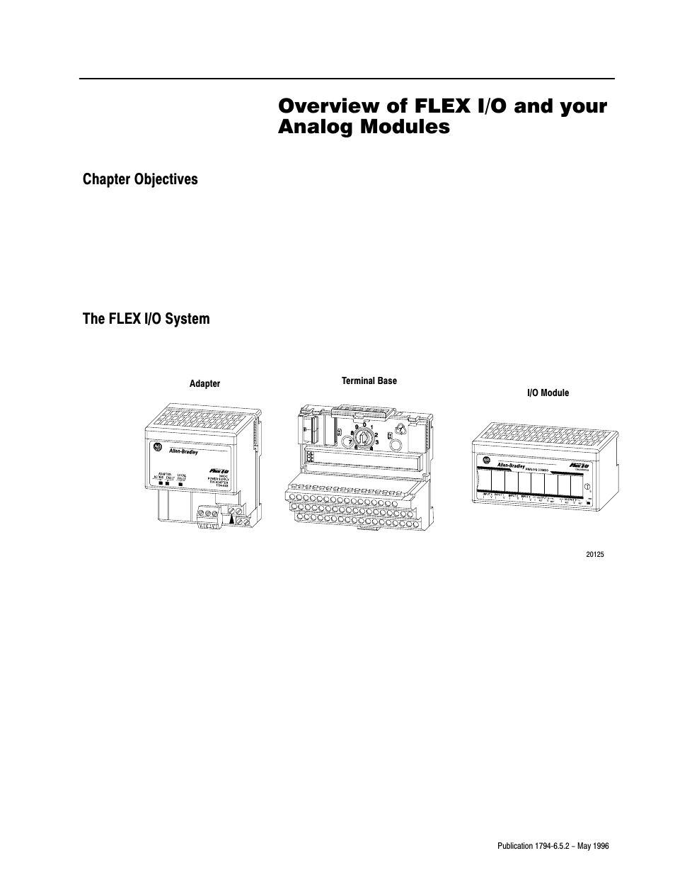 1 - overview of flex i/o and your analog modules, Chapter objectives, The flex i/o system | Overview of flex i/o and your analog modules, Chapter, Chapter objectives the flex i/o system | Rockwell Automation 1794-IE4XOE2,1794-IE8,1794-OE4,D17946.5.2 FLEX I/O ANALOG MODULE User Manual | Page 10 / 73