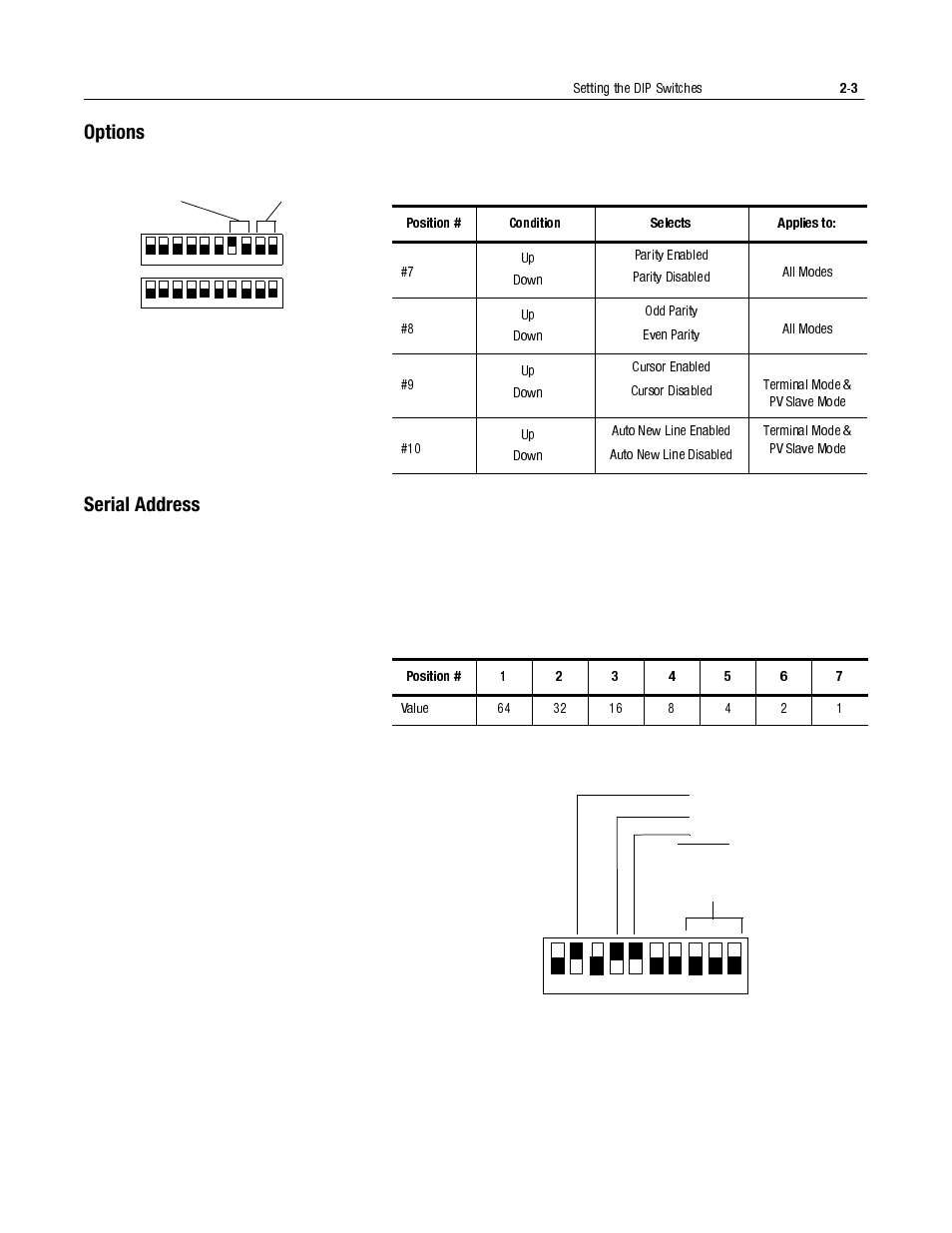 Options, Serial address, Options -3 | Serial address -3, Carriage return -2 | Rockwell Automation 2706-LV2S_LV4S DL40 PLUS SLAVE USER MANUAL User Manual | Page 16 / 60