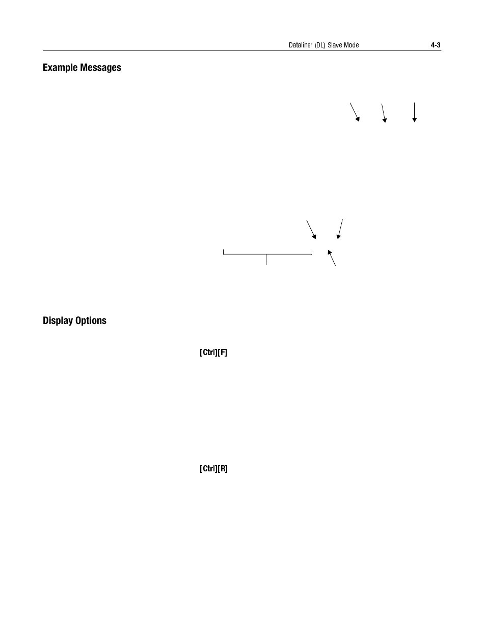 Example messages, Display options, Example messages -3 | Display options -3, Ctrl][f] -3, Ctrl][r] -3 | Rockwell Automation 2706-LV2S_LV4S DL40 PLUS SLAVE USER MANUAL User Manual | Page 34 / 60