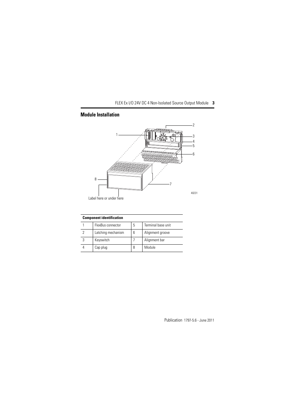 Module installation | Rockwell Automation 1797-OB4D FLEX Ex 24V DC Nonisolated Source 4 Output Module User Manual | Page 3 / 30