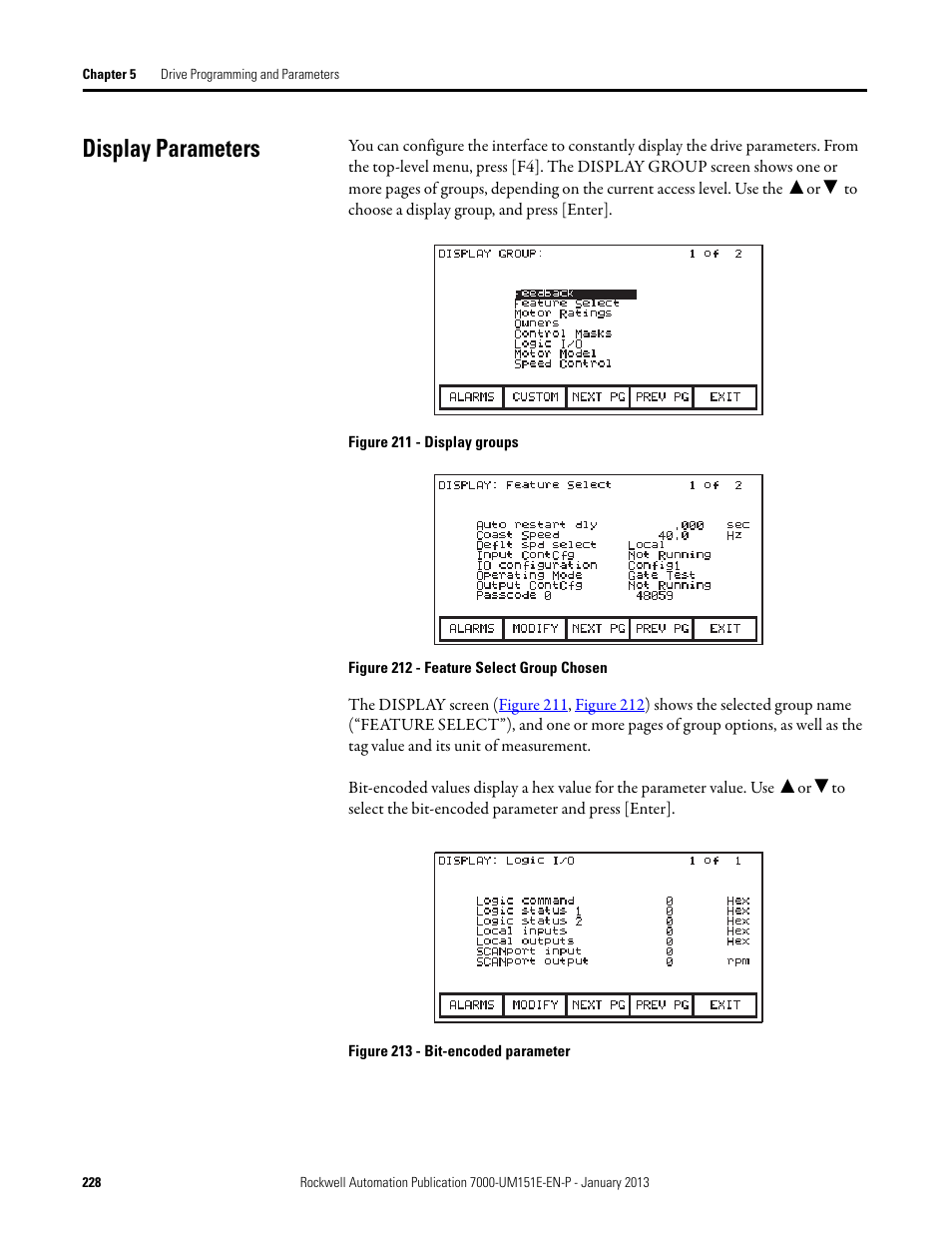 Display parameters | Rockwell Automation 7000 PowerFlex Medium Voltage AC Drive (B Frame) - ForGe Control (PanelView 550) User Manual | Page 228 / 290