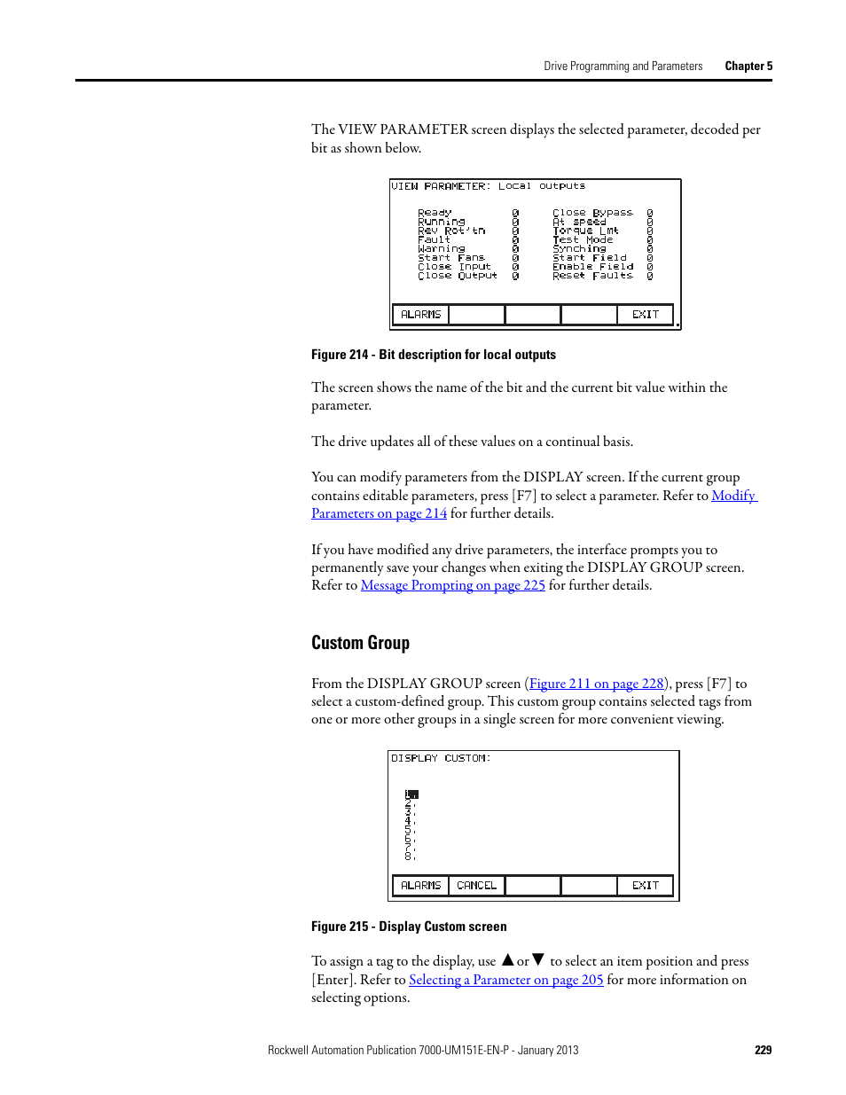 Custom group | Rockwell Automation 7000 PowerFlex Medium Voltage AC Drive (B Frame) - ForGe Control (PanelView 550) User Manual | Page 229 / 290