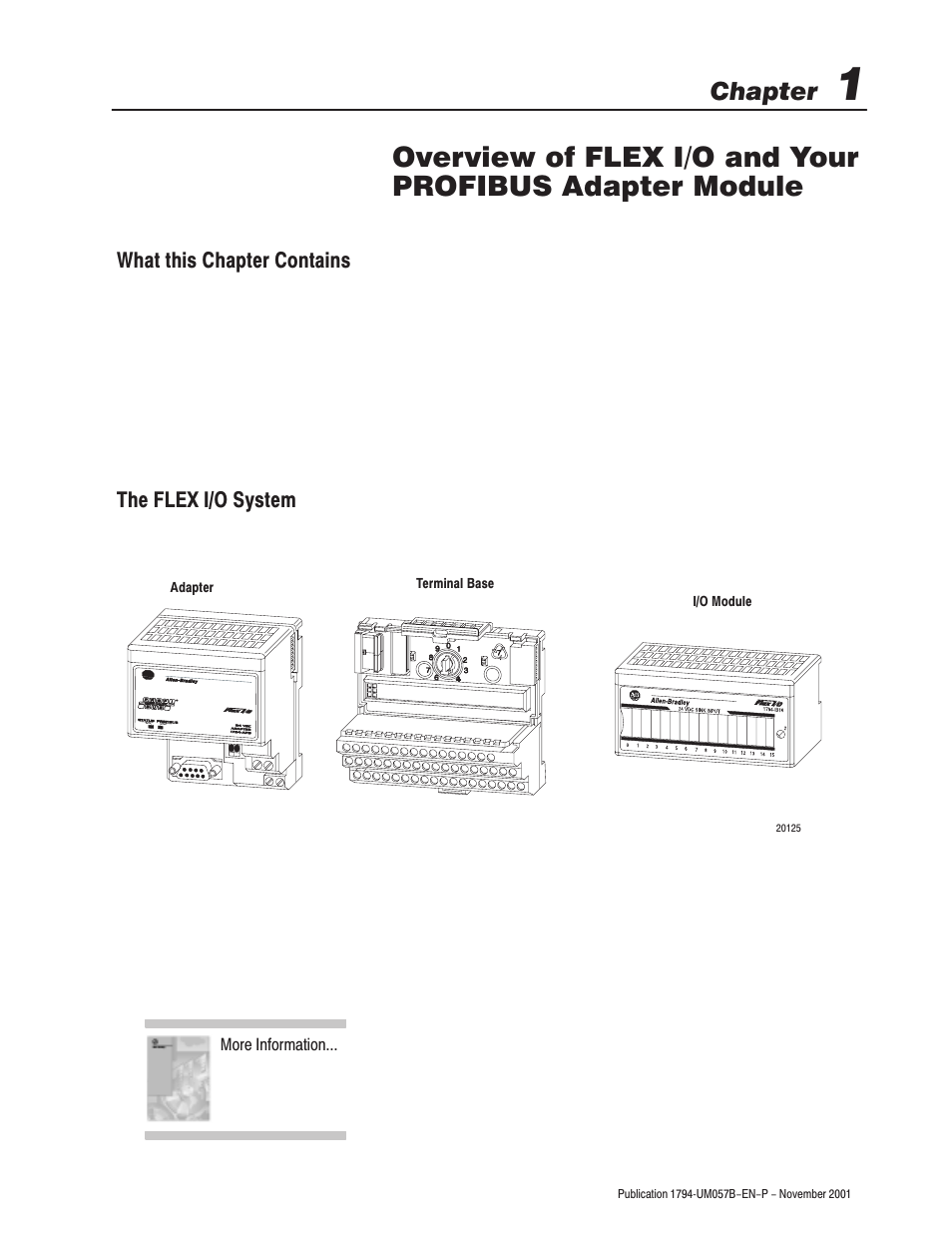 Chapter | Rockwell Automation 1794-APB/B FLEX I/O PROFIBUS Adapter Module User Manual User Manual | Page 13 / 124