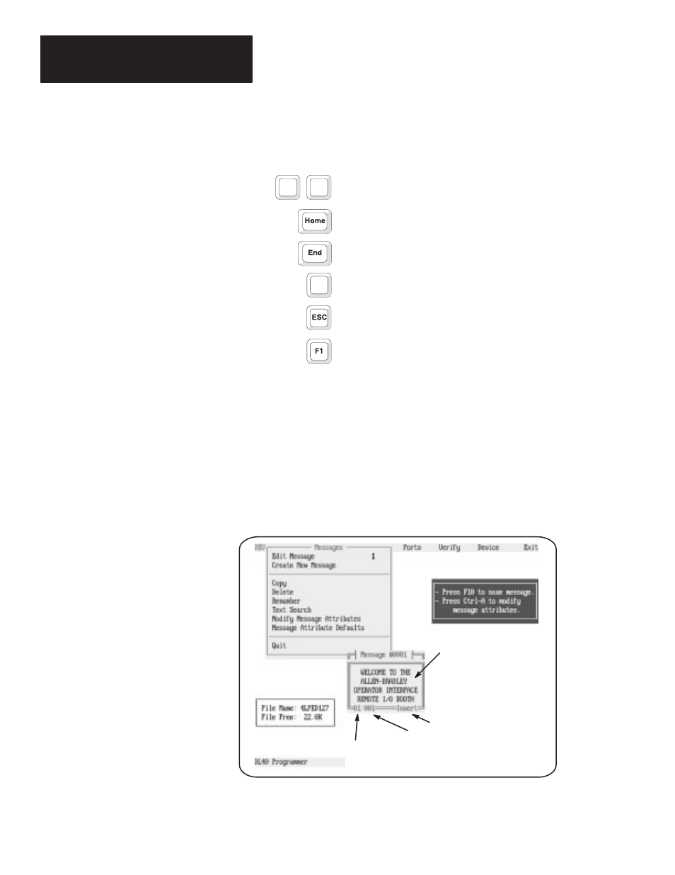 Message text window | Rockwell Automation 2706-ND1 DL40 OFFLINE PROGRAMMING SFTWR.USER MANUAL User Manual | Page 55 / 139