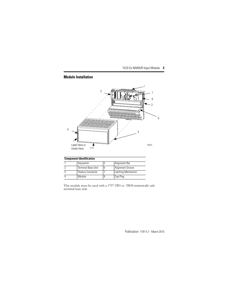 Module installation | Rockwell Automation 1797-IBN16 FLEX Ex NAMUR Input Module User Manual | Page 3 / 28