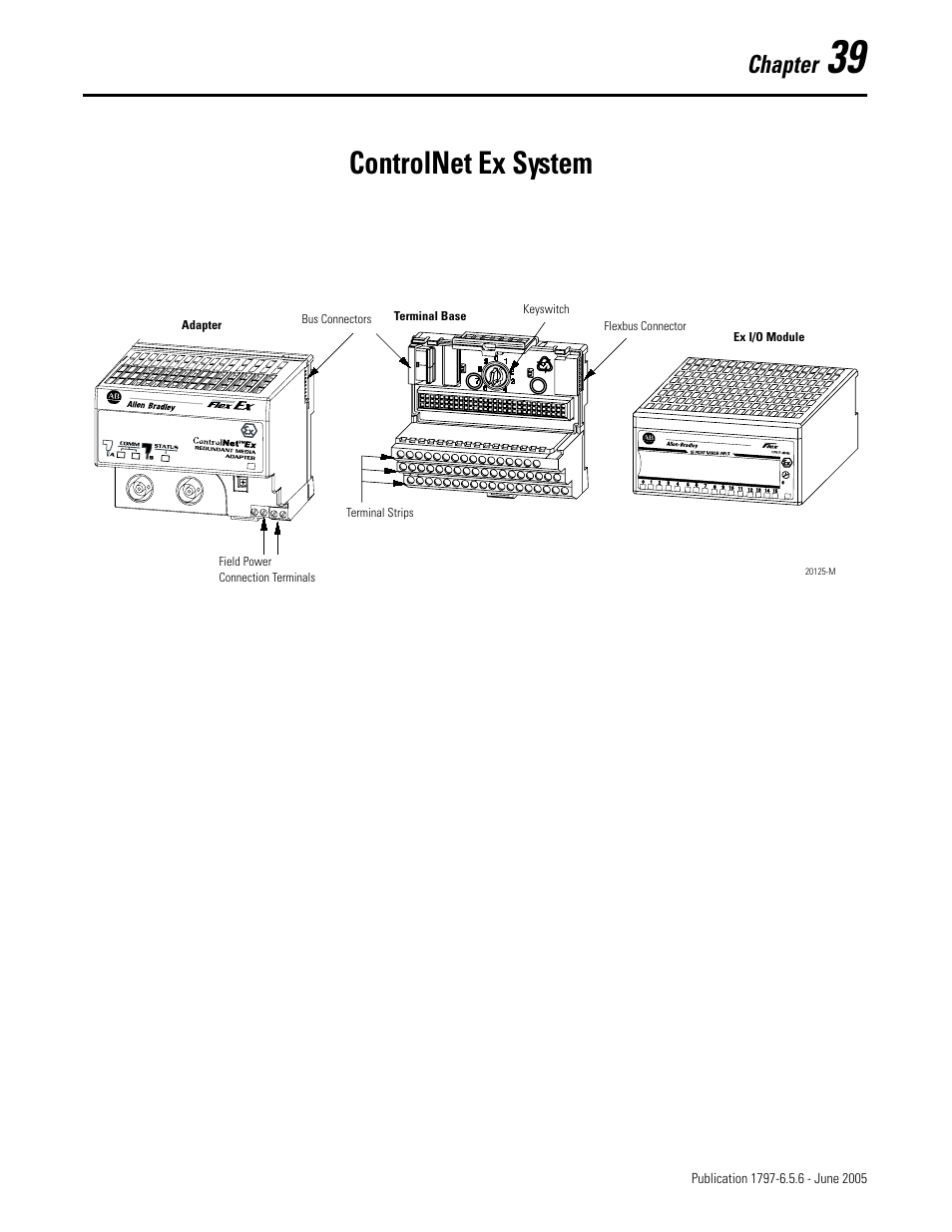 Chapter 39, Controlnet ex system, Controlnet ex system diagram | Chapter | Rockwell Automation 1797-XXX FLEX Ex System Certification Reference Manual User Manual | Page 177 / 252