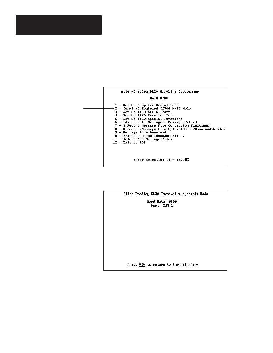 Entering terminal mode | Rockwell Automation 2706-NP3 DL20 OFFLINE PROGRAMMING MANUAL User Manual | Page 61 / 67