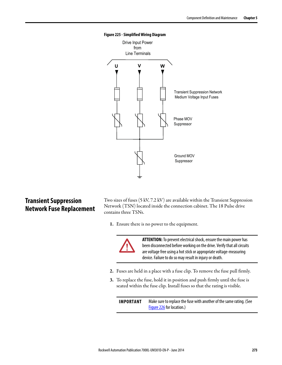 Transient suppression network fuse replacement | Rockwell Automation 7000L PowerFlex Medium Voltage AC Drive (C-Frame) - ForGe Control User Manual | Page 273 / 432