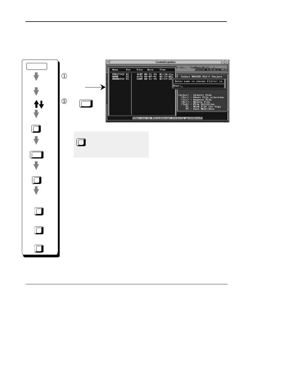 Renamingfiles, Renaming files, Preface | Rockwell Automation 9330-CC ControlGuardian User's Guide User Manual | Page 104 / 176