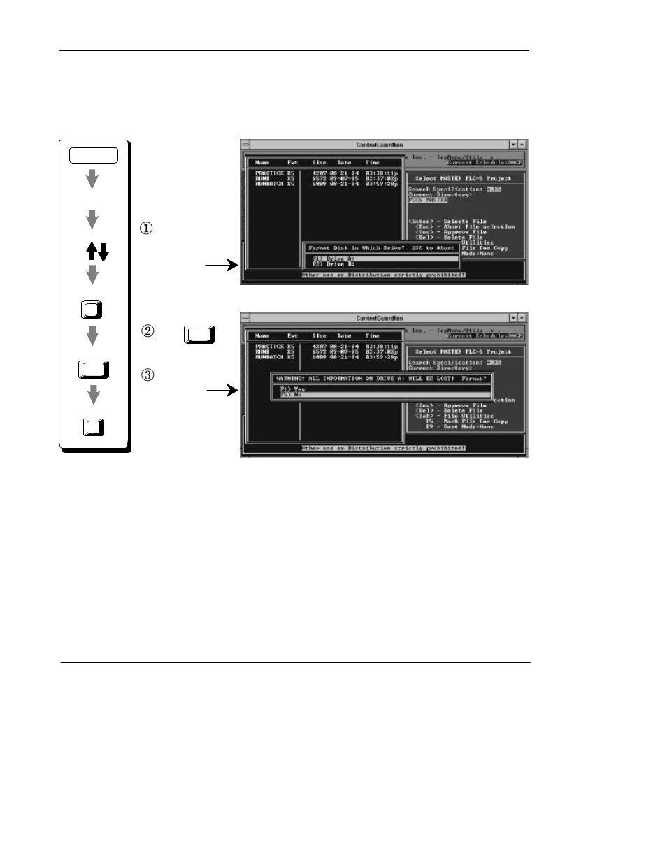 Formattingdisksforbackup, Formatting disks for backup, Preface | Rockwell Automation 9330-CC ControlGuardian User's Guide User Manual | Page 108 / 176