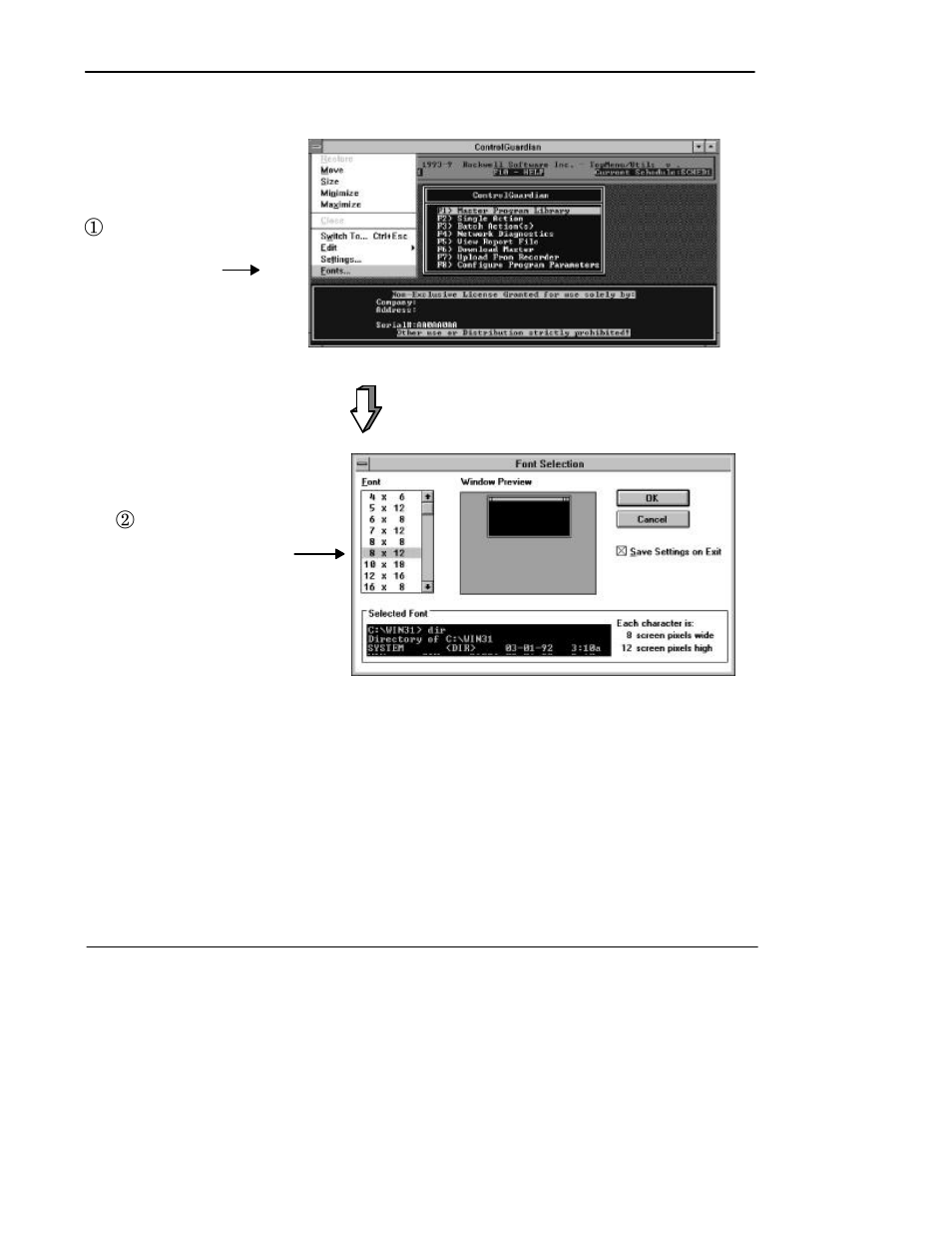 Preface | Rockwell Automation 9330-CC ControlGuardian User's Guide User Manual | Page 30 / 176