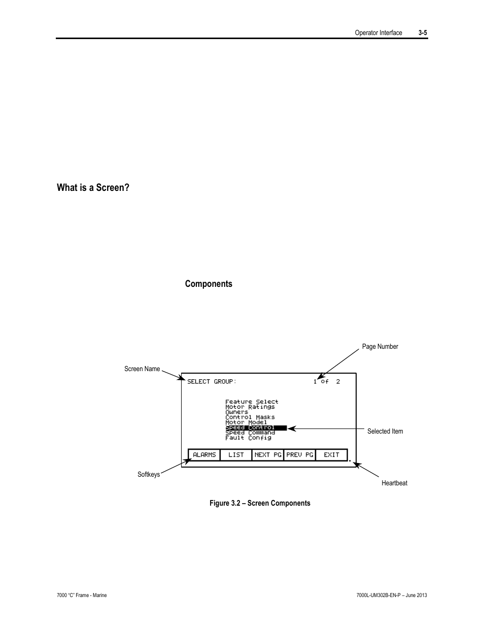 What is a screen | Rockwell Automation 7000L PowerFlex 7000 Medium Voltage AC Drive C Frame - Marine User Manual | Page 101 / 350