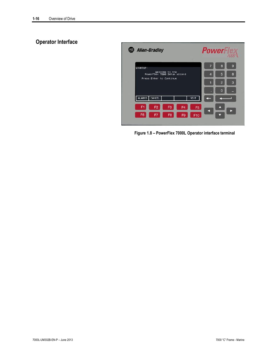 Operator interface | Rockwell Automation 7000L PowerFlex 7000 Medium Voltage AC Drive C Frame - Marine User Manual | Page 30 / 350