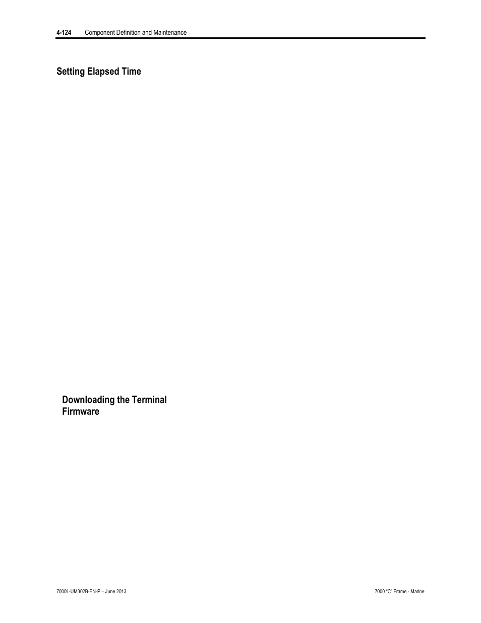 Setting elapsed time, Downloading the terminal firmware | Rockwell Automation 7000L PowerFlex 7000 Medium Voltage AC Drive C Frame - Marine User Manual | Page 300 / 350