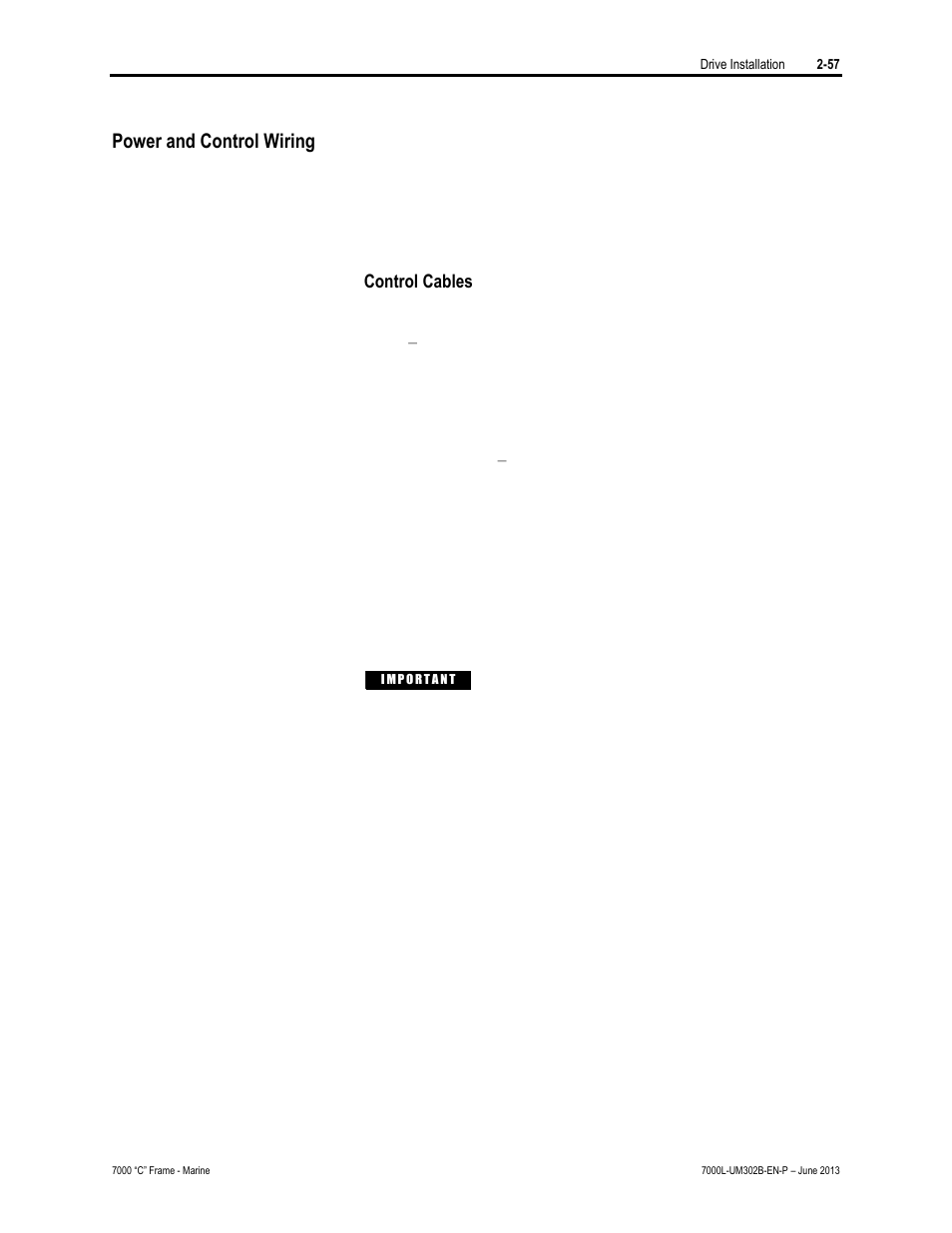 Power and control wiring | Rockwell Automation 7000L PowerFlex 7000 Medium Voltage AC Drive C Frame - Marine User Manual | Page 87 / 350
