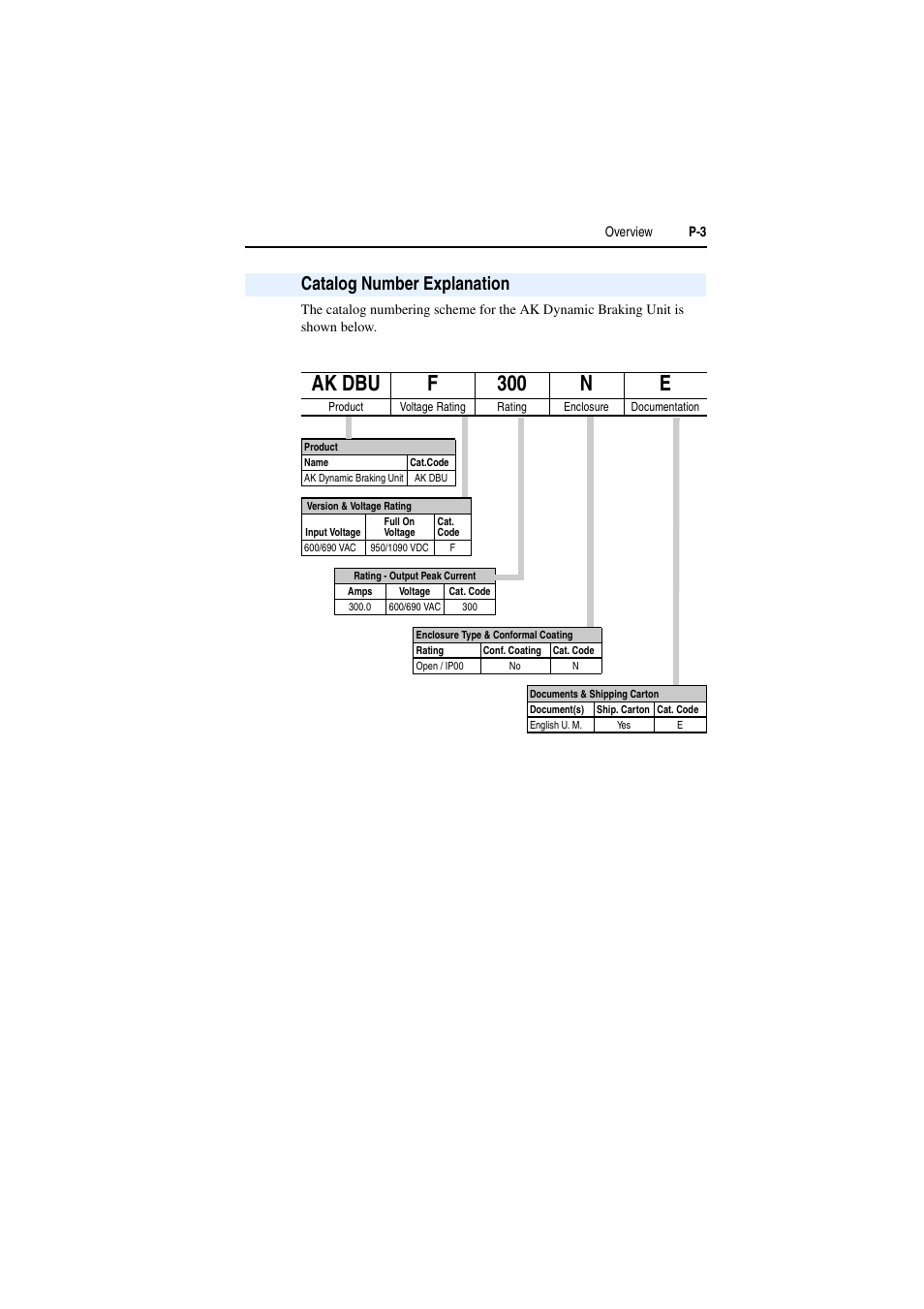 Catalog number explanation, Ak dbu f 300 n e | Rockwell Automation AK DBU - Dynamic Braking Unit 600/690 VAC User Manual | Page 7 / 56