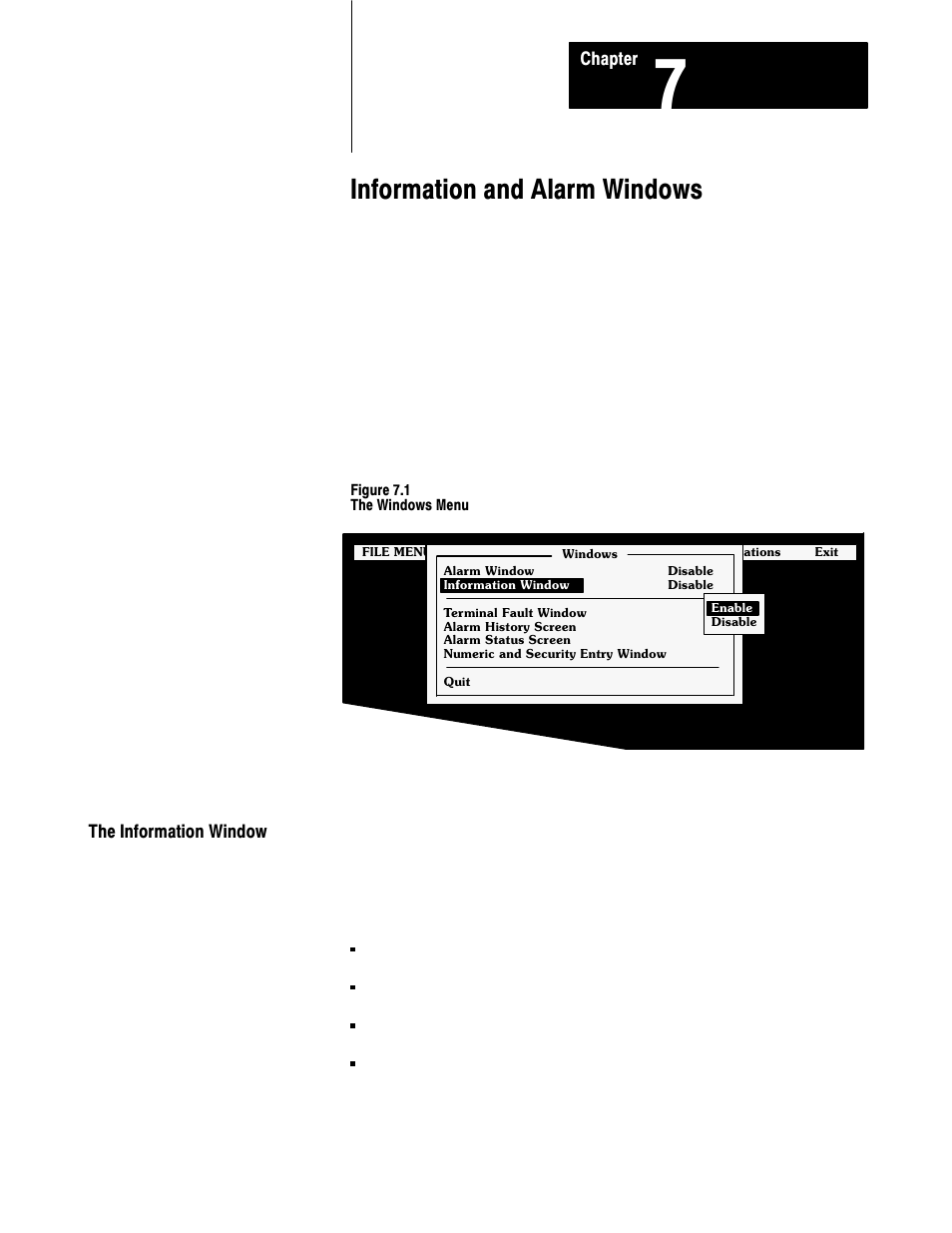 7 - information and alarm windows, The information window, Information and alarm windows | Rockwell Automation 2711 PANELBUILDER SOFTWARE USER MANUAL User Manual | Page 209 / 468
