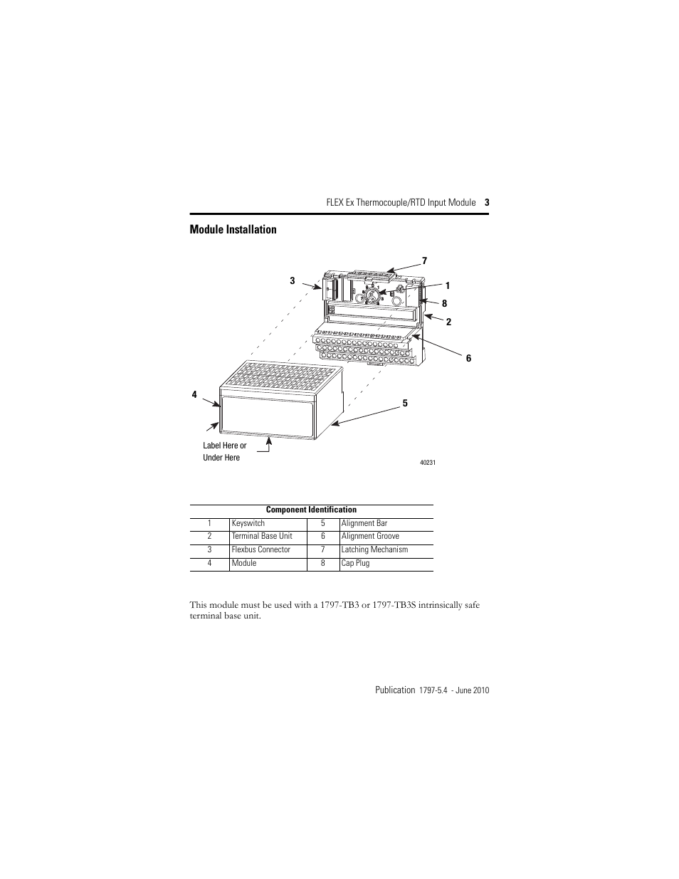 Module installation | Rockwell Automation 1797-IRT8 FLEX Ex Thermocouple/RTD Module User Manual | Page 3 / 32