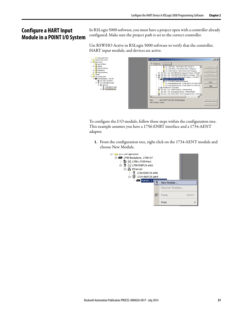 Rockwell Automation 1734sc-IE4CH E+H Instruments via HART to PlantPAx User Manual User Manual | Page 31 / 160