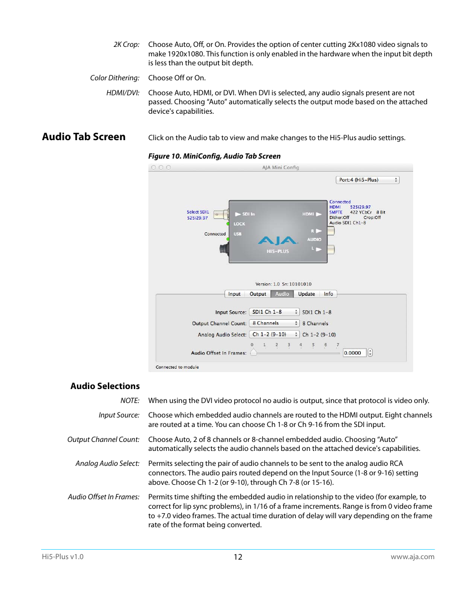 Audio tab screen, Audio selections | AJA Hi5-Plus Version 1.0 User Manual | Page 12 / 27