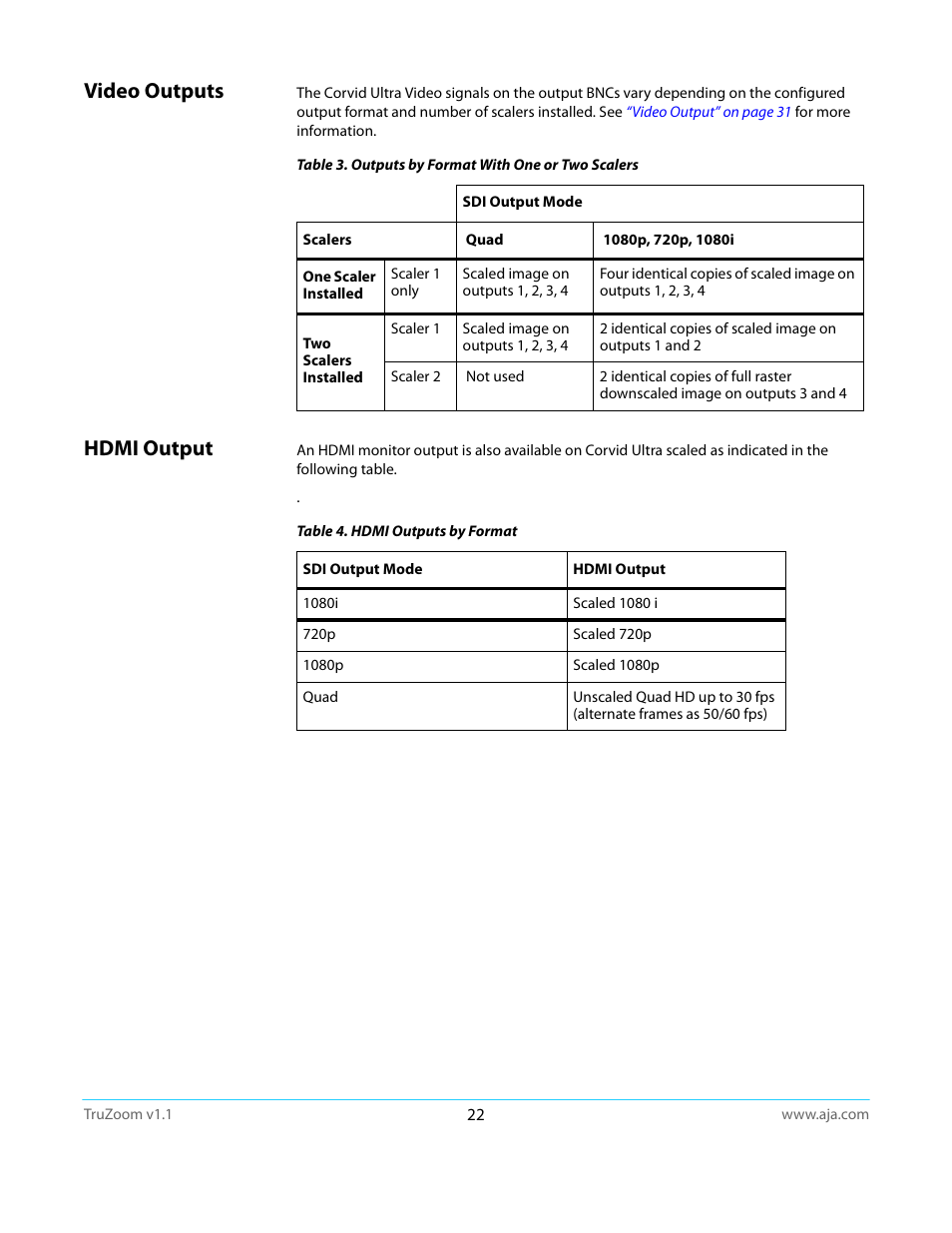 Video outputs, Hdmi output, Video outputs hdmi output | AJA TruZoom User Manual | Page 22 / 72