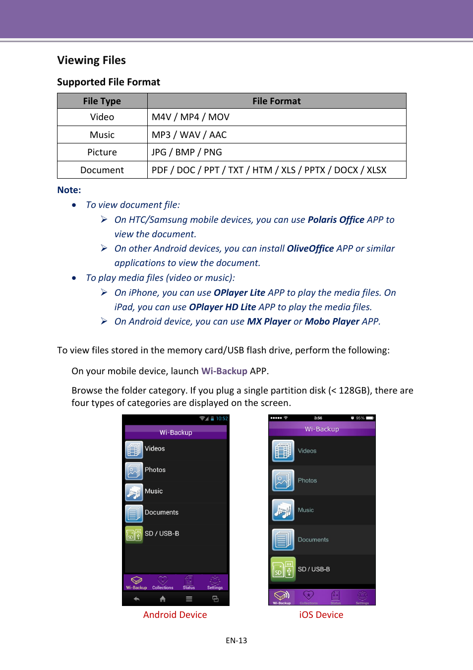 Viewing files | Apotop DW23 Wi-Backup User Manual User Manual | Page 13 / 37