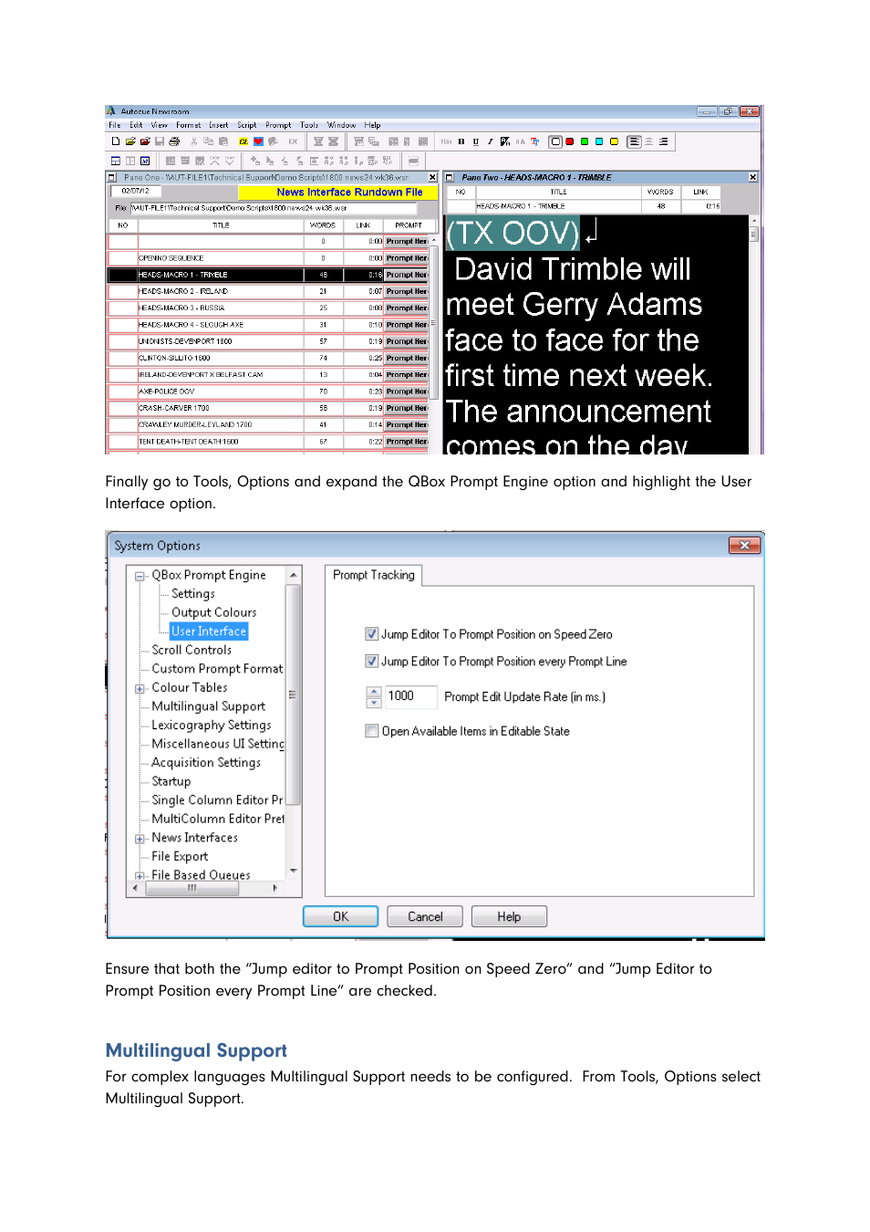Multilingual support | Autocue QMaster for Complex Languages User Manual | Page 23 / 66