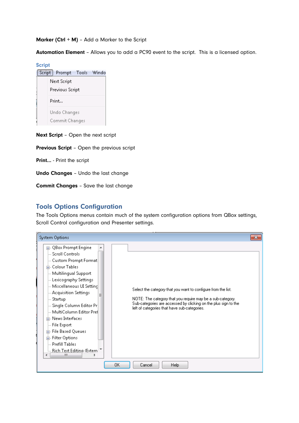 Script, Tools options configuration | Autocue QMaster for Complex Languages User Manual | Page 41 / 66