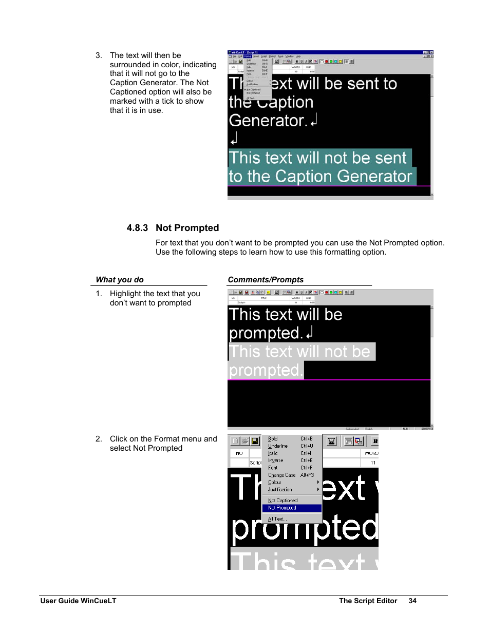 Autocue WinCueLT User Manual | Page 41 / 82