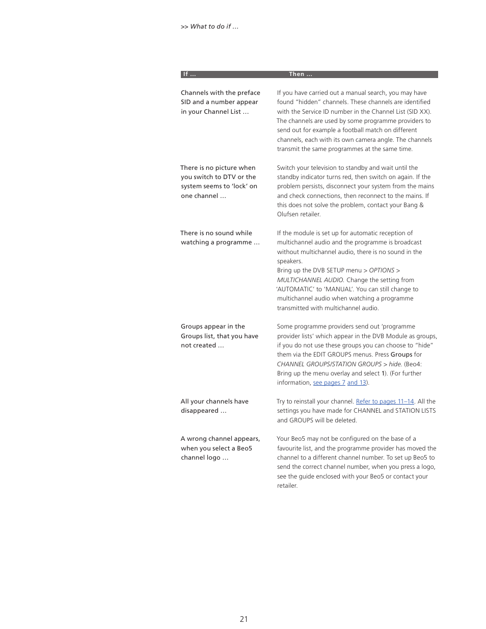 Bang & Olufsen DVB-HD - User Guide User Manual | Page 21 / 23