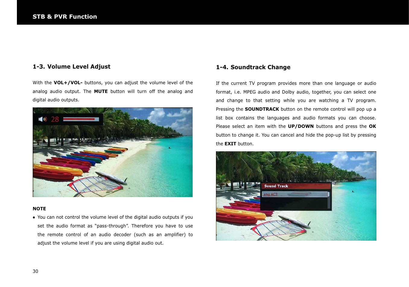 Beyonwiz DP-S1 User Manual | Page 37 / 83