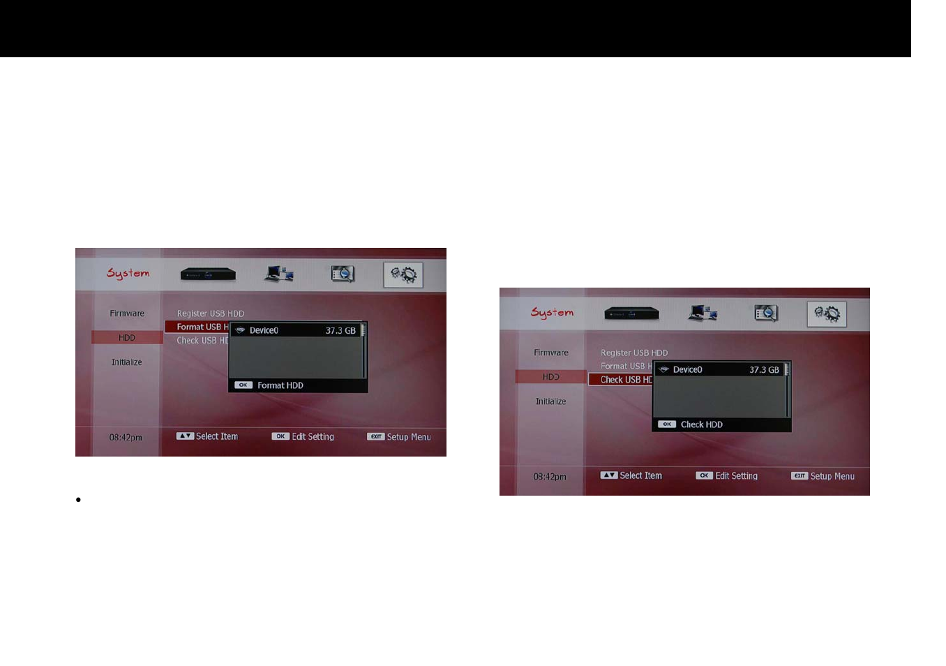 Beyonwiz DP-H1 User Manual | Page 107 / 118