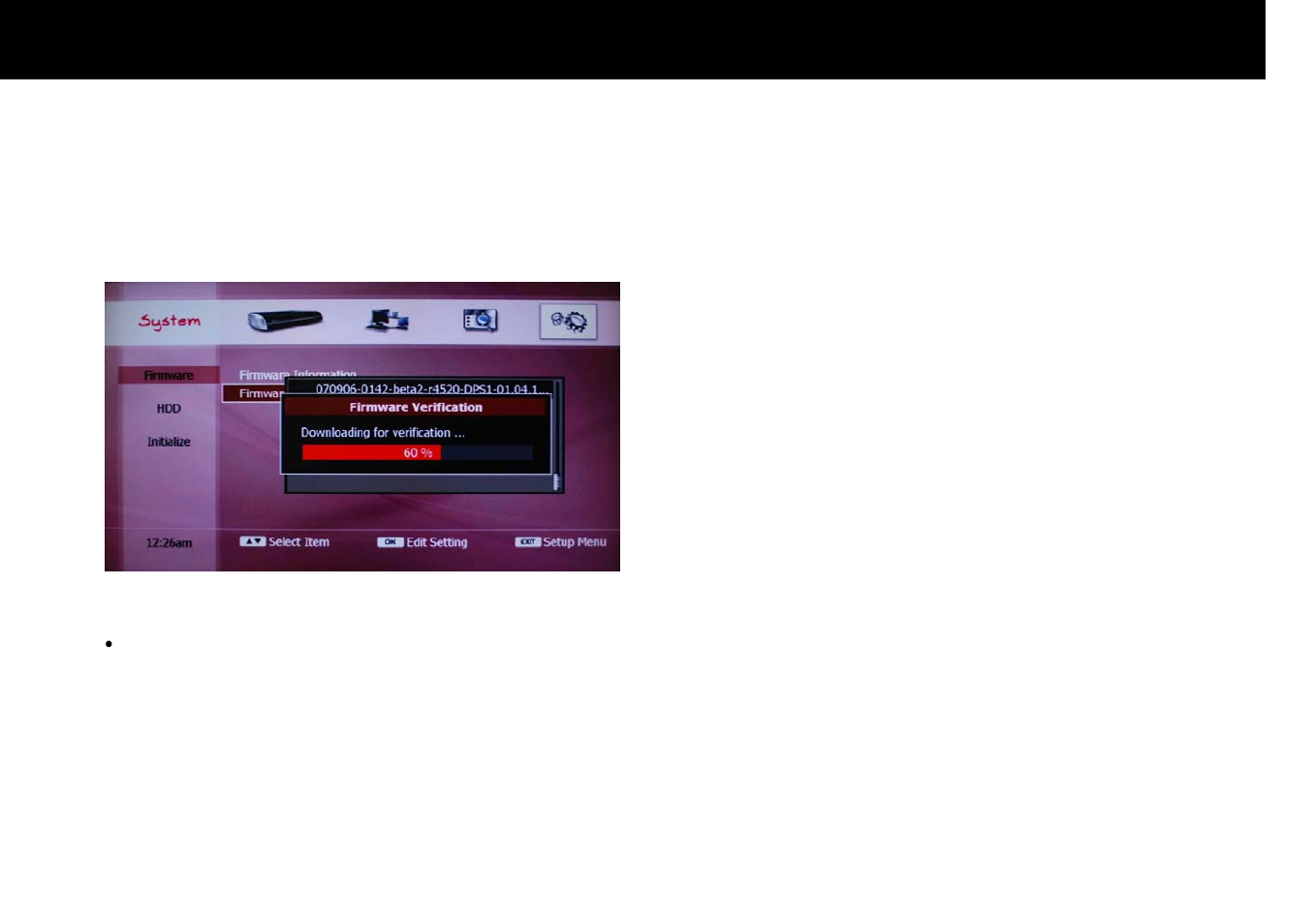 Beyonwiz DP-S1 User Manual | Page 109 / 124