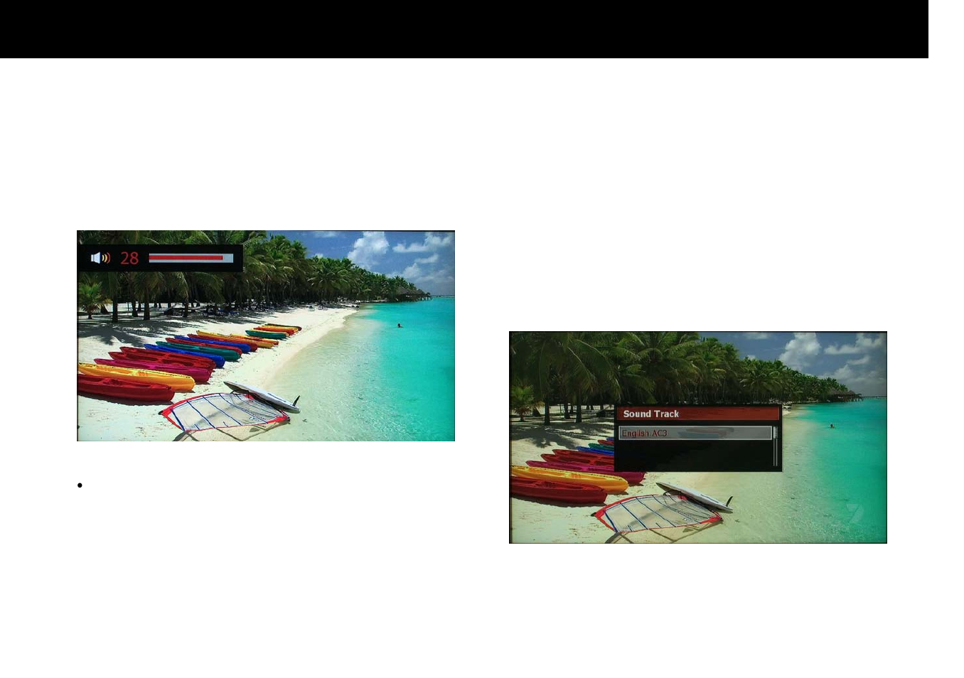Stb & pvr function, 3. volume level adjust, 4. soundtrack change | Beyonwiz DP-S1 User Manual | Page 53 / 124