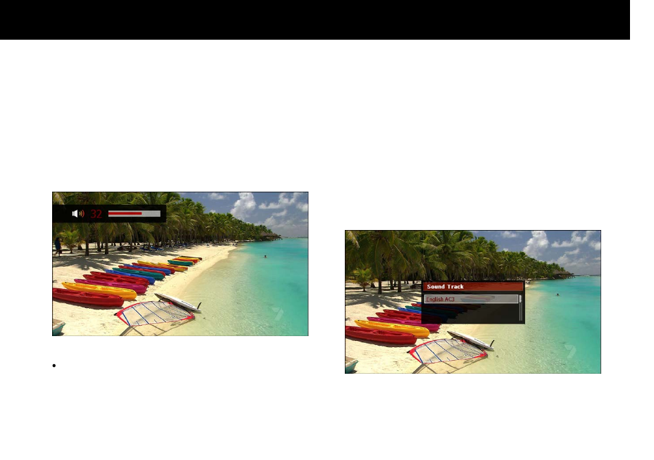 Volume level adjust, Soundtrack change | Beyonwiz FV-L1 User Manual | Page 48 / 118