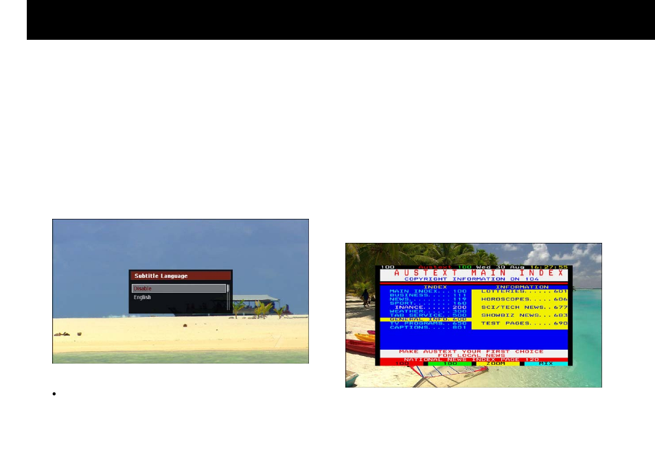Subtitle and teletext service, Stb & pvr function, 5. subtitle and teletext service | Beyonwiz FV-L1 User Manual | Page 49 / 118