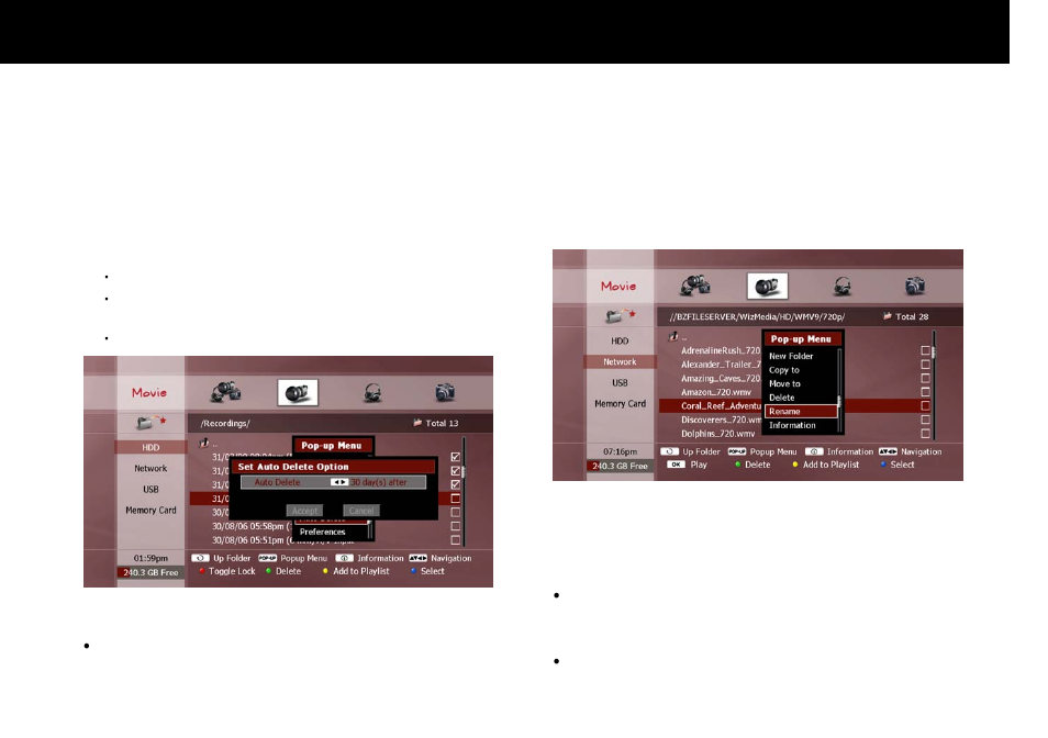 Auto delete, Rename | Beyonwiz FV-L1 User Manual | Page 86 / 118