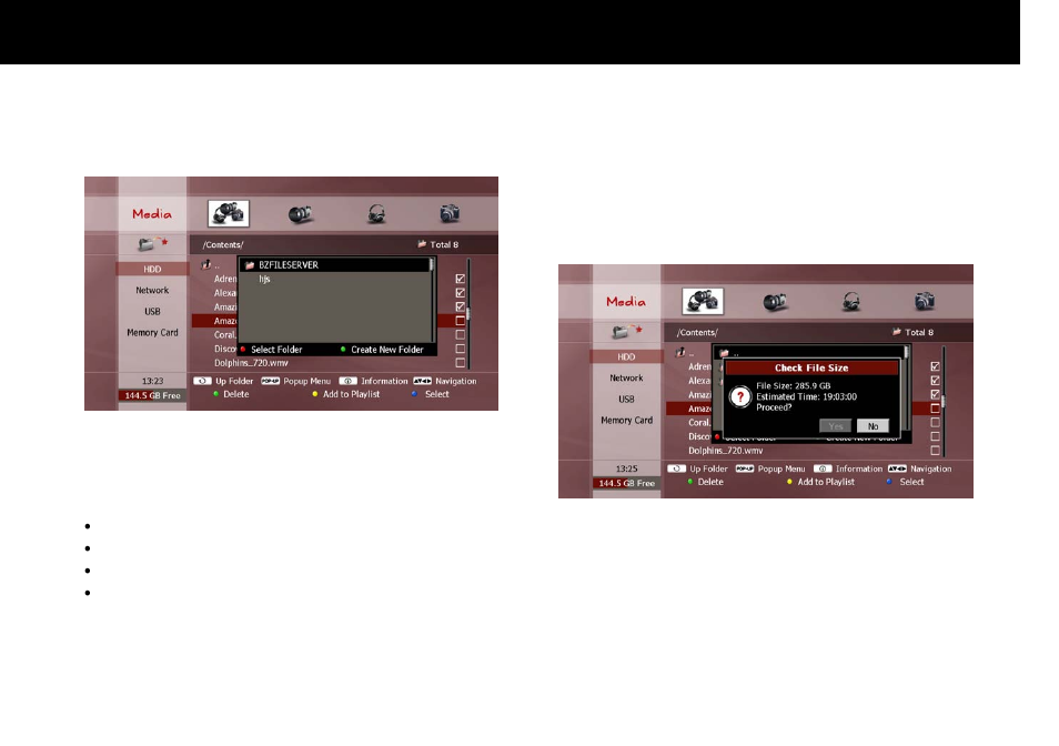 Beyonwiz FV-L1 User Manual | Page 88 / 118