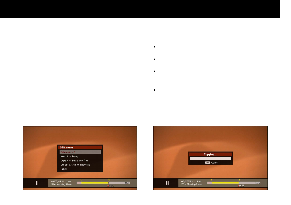 Edit recording file, Internet service | Beyonwiz FV-L1 User Manual | Page 90 / 118