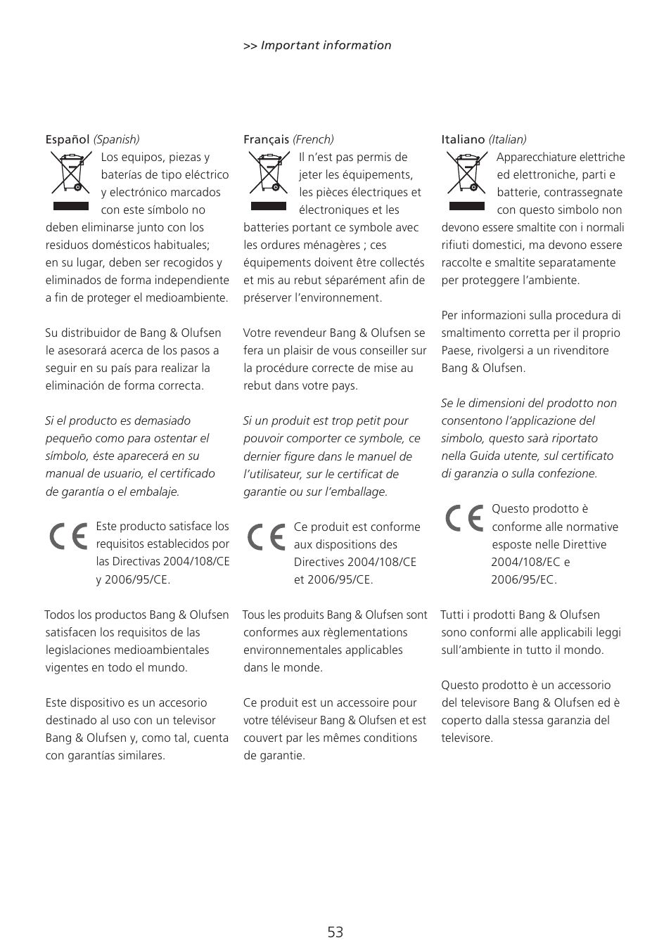 Bang & Olufsen 3D Glasses - User Guide User Manual | Page 53 / 59