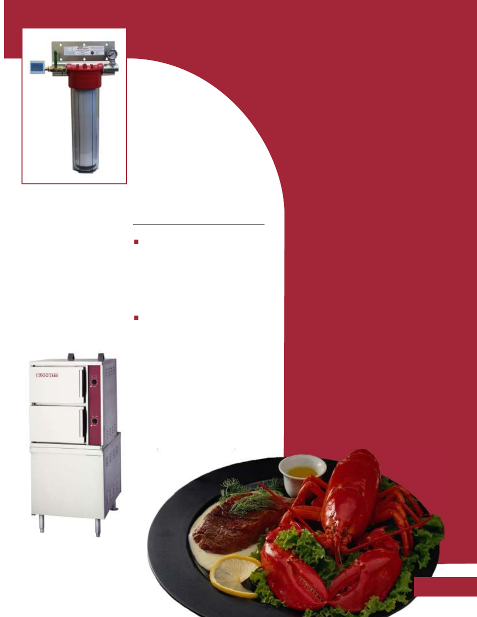 Blodgett waterguard filtration system, Steam boiler cabinets | Blodgett CONVECTION STEAMERS KETTLES BRAISING PANS User Manual | Page 5 / 12