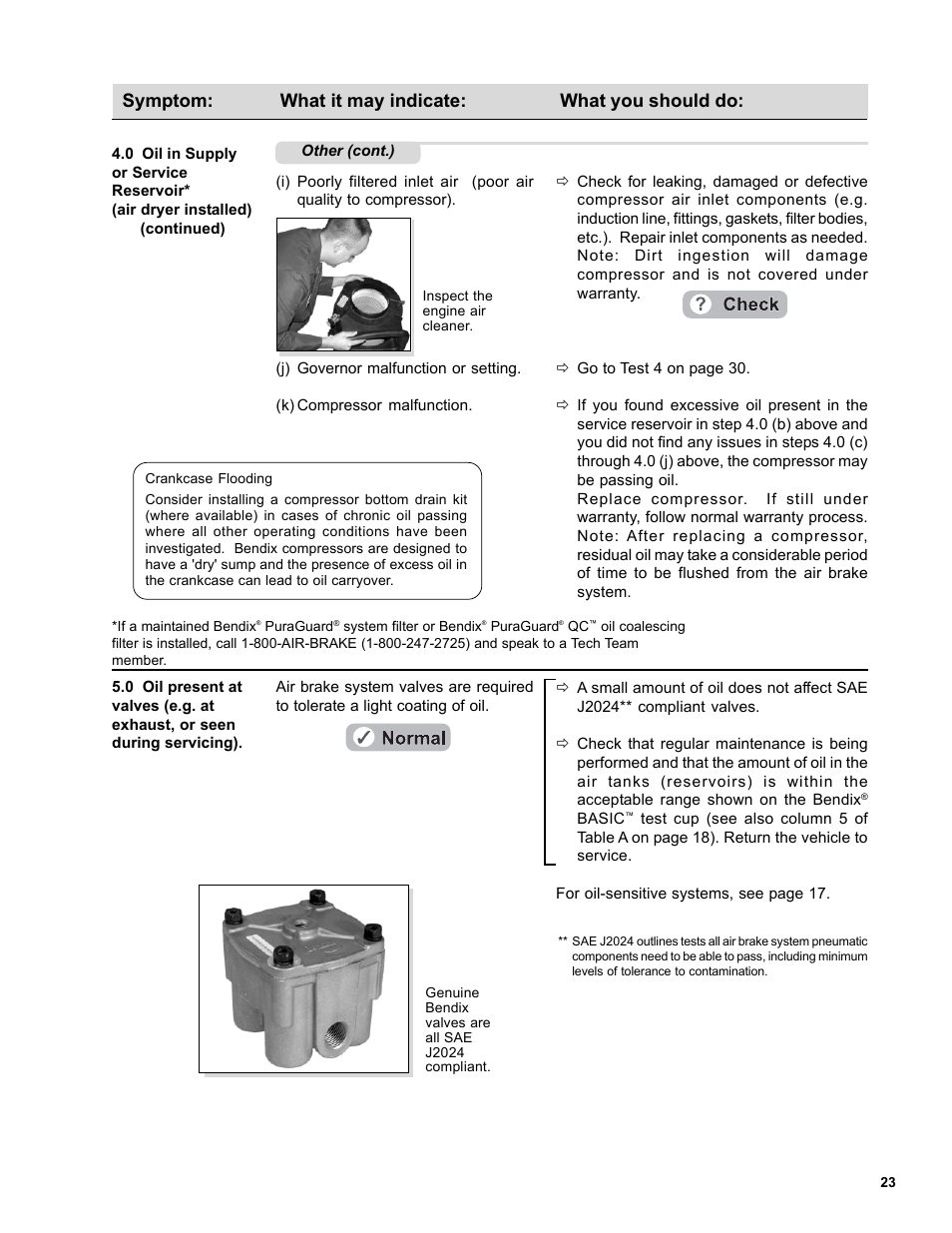 Symptom: what it may indicate: what you should do | Bendix Commercial Vehicle Systems DURAFLO 596 COMPRESSOR 10/04 User Manual | Page 23 / 40