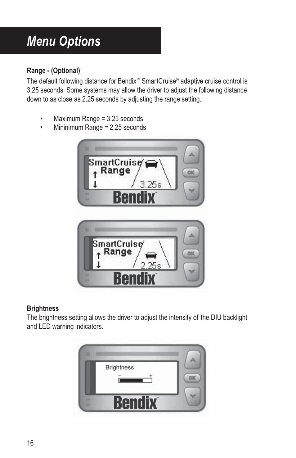 Menu options | Bendix Commercial Vehicle Systems VORAD DRIVER User Manual | Page 21 / 30