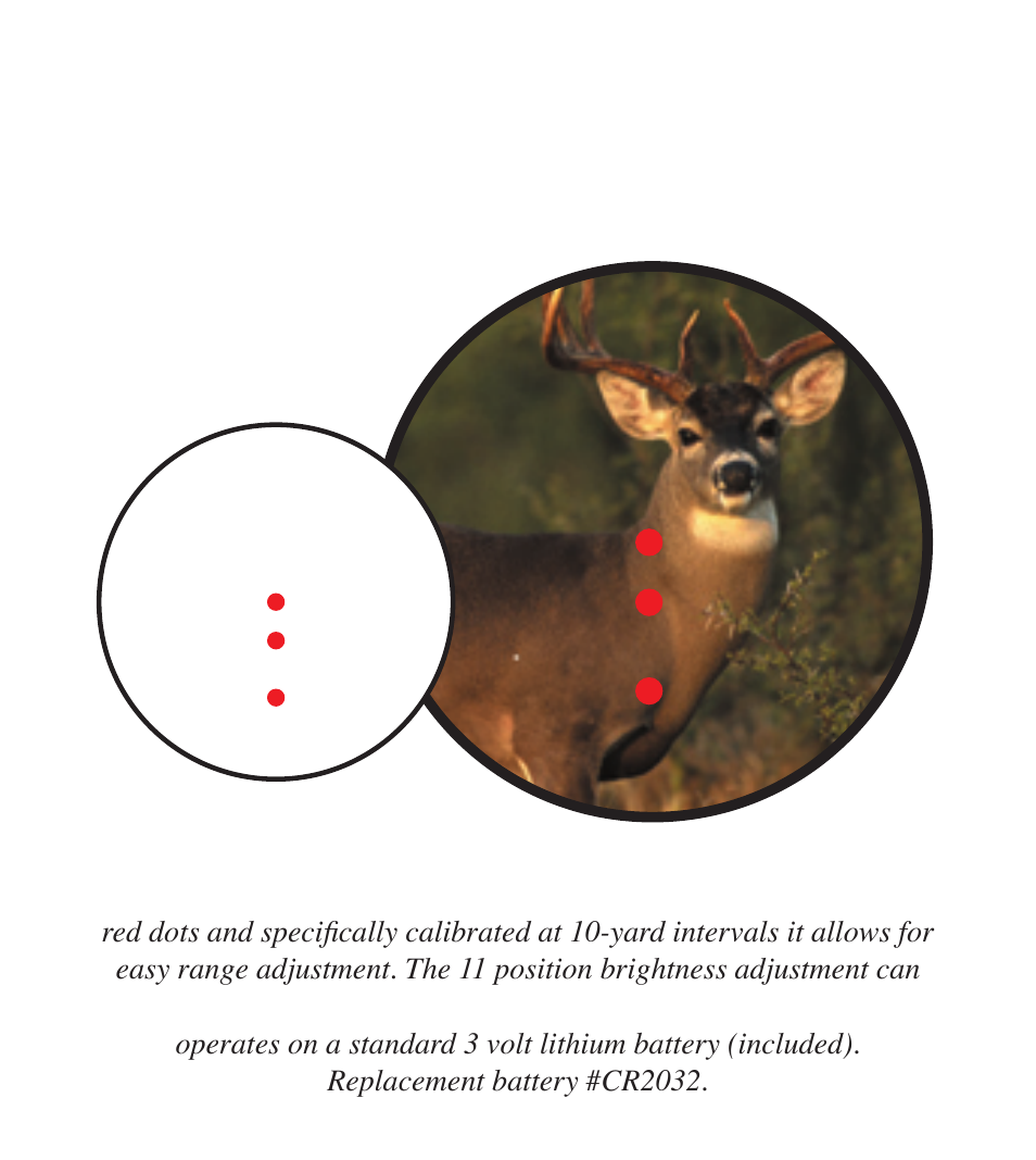 BSA Optics BOW30 Dot User Manual | Page 5 / 16